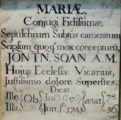 Soan plaque